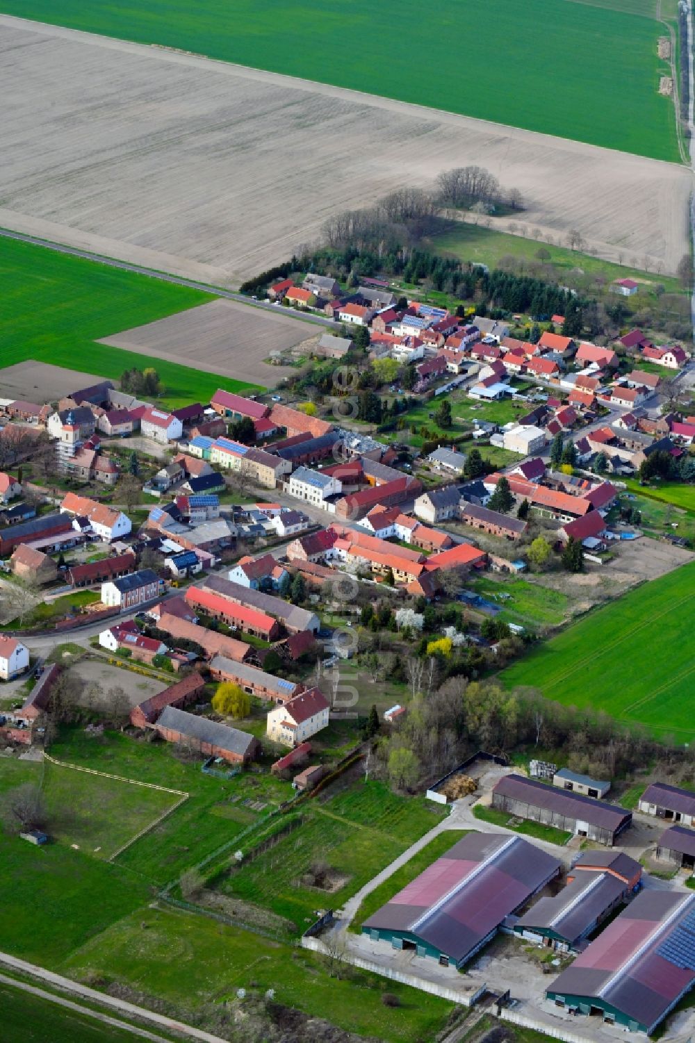 Luftbild Zitz - Dorf - Ansicht in Zitz im Bundesland Brandenburg, Deutschland