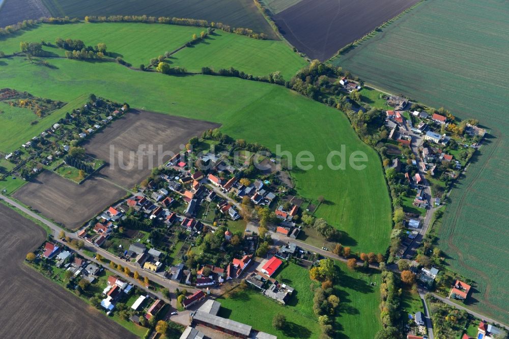 Gödewitz aus der Vogelperspektive: Dorf Gödewitz im Salzatal im Bundesland Sachsen in Deutschland