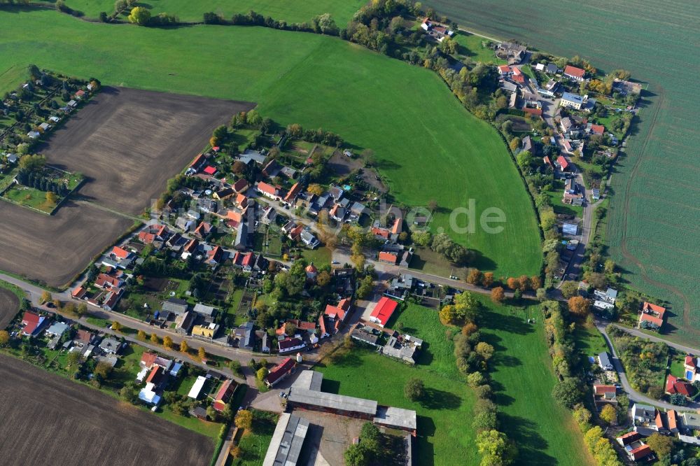 Luftbild Gödewitz - Dorf Gödewitz im Salzatal im Bundesland Sachsen in Deutschland