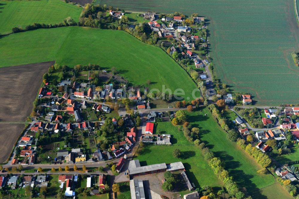 Luftaufnahme Gödewitz - Dorf Gödewitz im Salzatal im Bundesland Sachsen in Deutschland