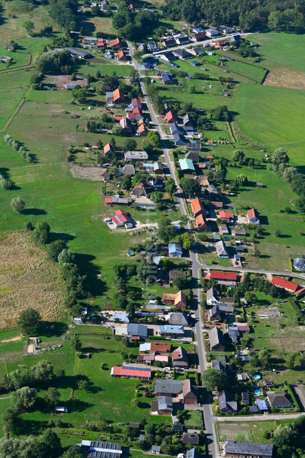 Luftaufnahme Neu Brenz - Dorfansicht entlang der Lindenstraße in Neu Brenz im Bundesland Mecklenburg-Vorpommern, Deutschland