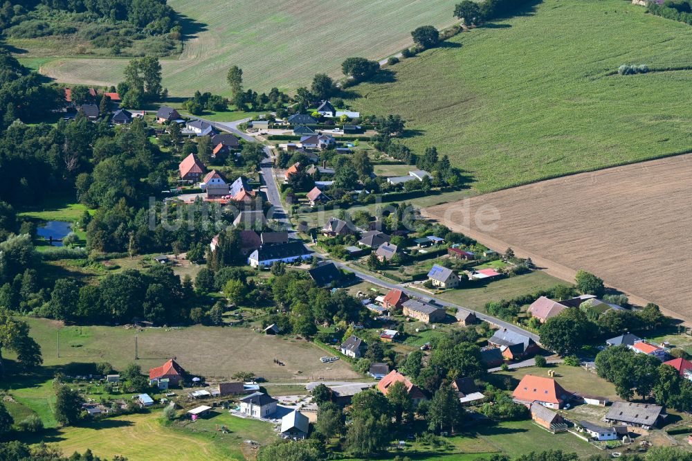 Luftaufnahme Radelübbe - Dorfansicht entlang der Ringstraße in Radelübbe im Bundesland Mecklenburg-Vorpommern, Deutschland