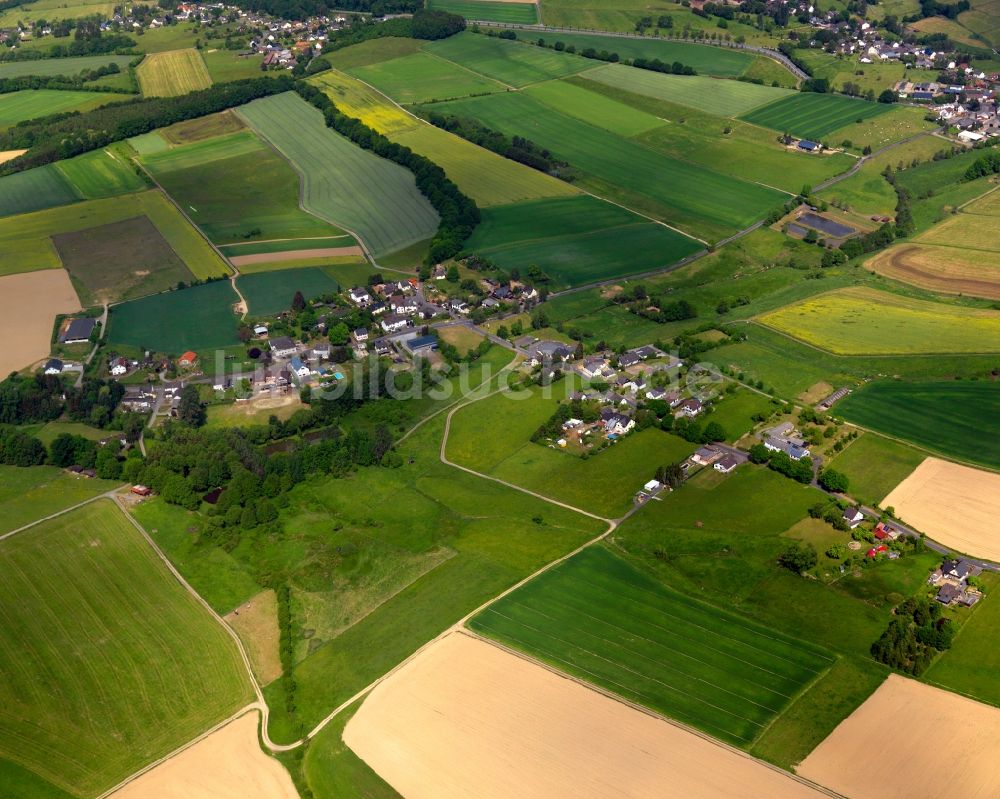 Forstmehren aus der Vogelperspektive: Dorfansicht von Forstmehren im Bundesland Rheinland-Pfalz