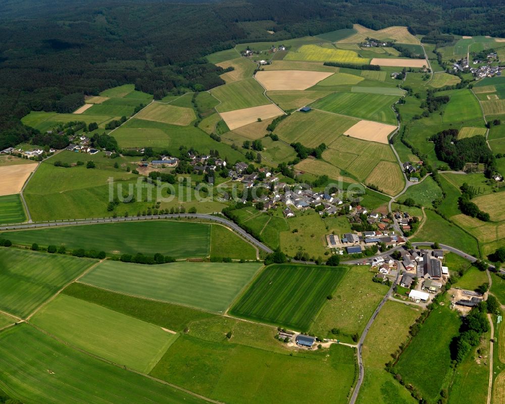 Hasselbach von oben - Dorfansicht von Hasselbach im Bundesland Rheinland-Pfalz