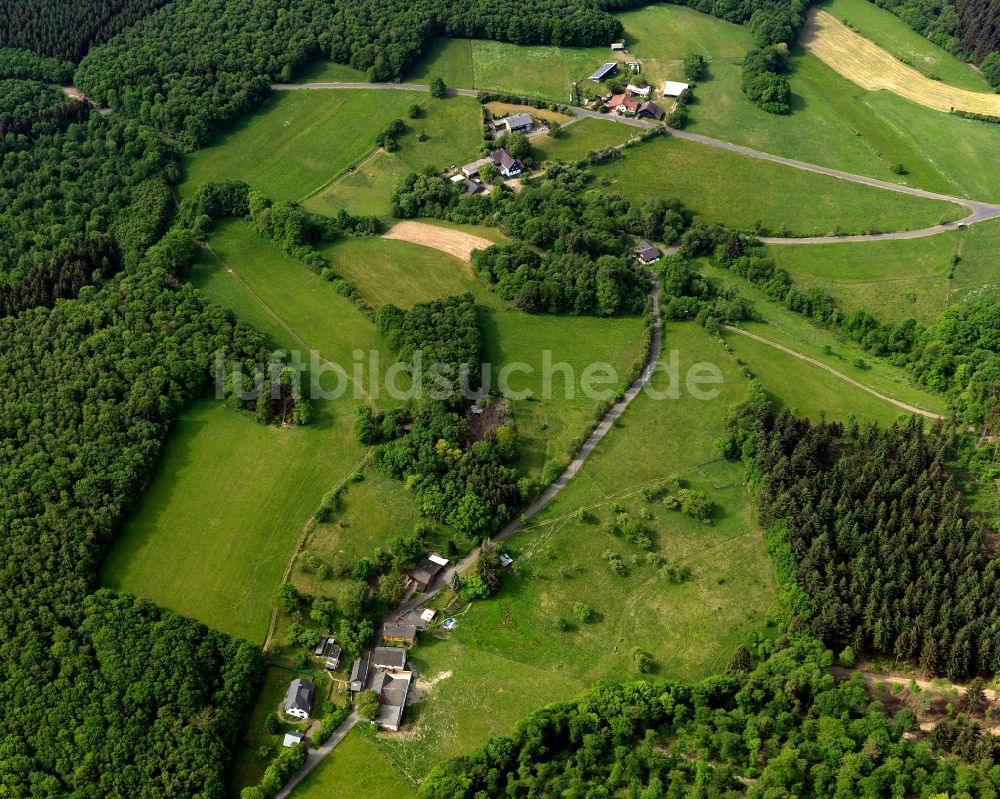 Luftbild Selbach (Sieg) - Dorfansicht von Neuhöfchen-Birnbaum in Selbach (Sieg) im Bundesland Rheinland-Pfalz