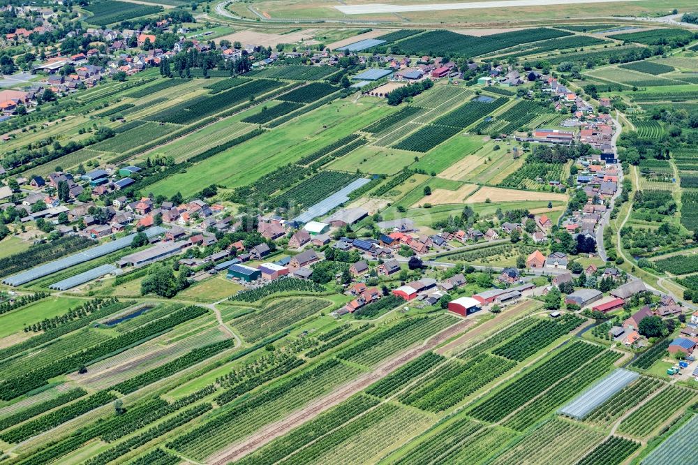 Neuenfelde aus der Vogelperspektive: Dorfansicht im Obstanbaugebiet Altes Land in Neuenfelde im Bundesland Hamburg, Deutschland