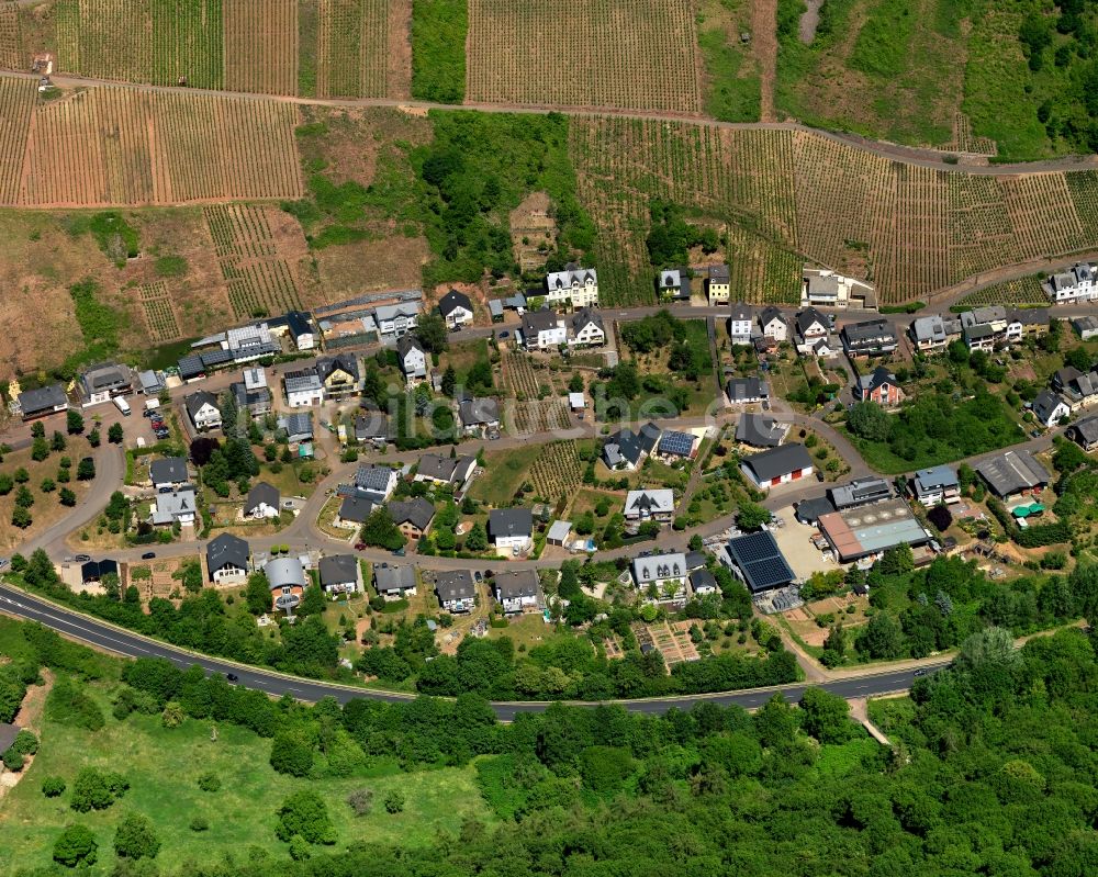 Alf aus der Vogelperspektive: Dorfkern in Alf im Bundesland Rheinland-Pfalz