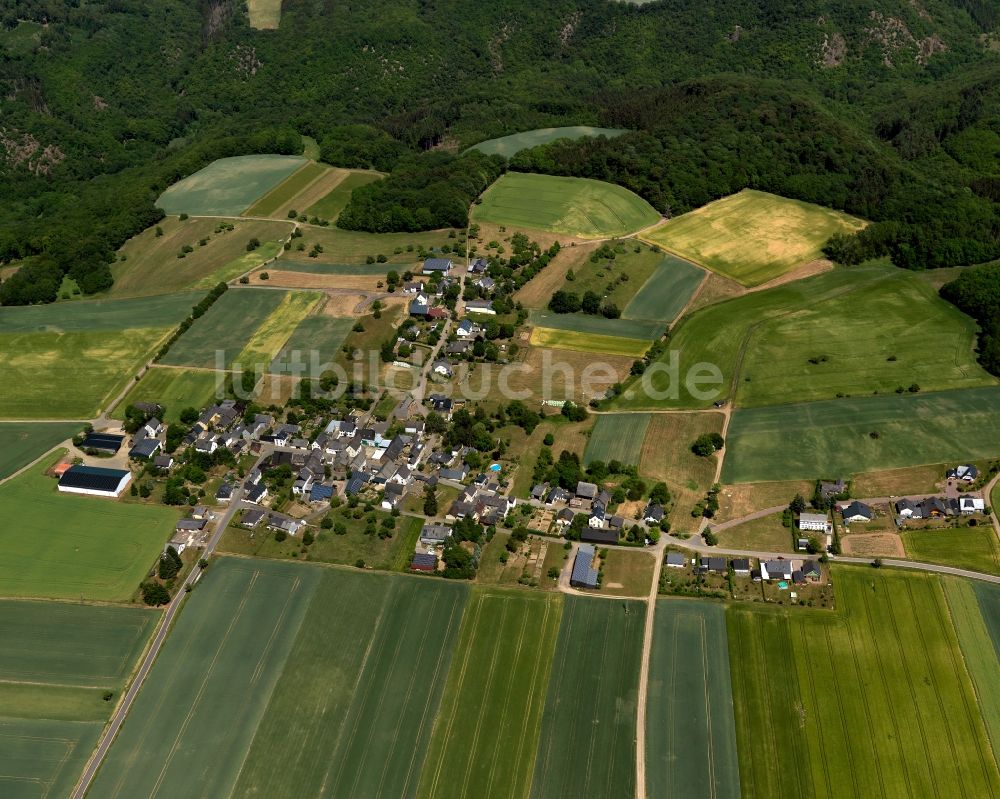 Brieden von oben - Dorfkern in Brieden im Bundesland Rheinland-Pfalz