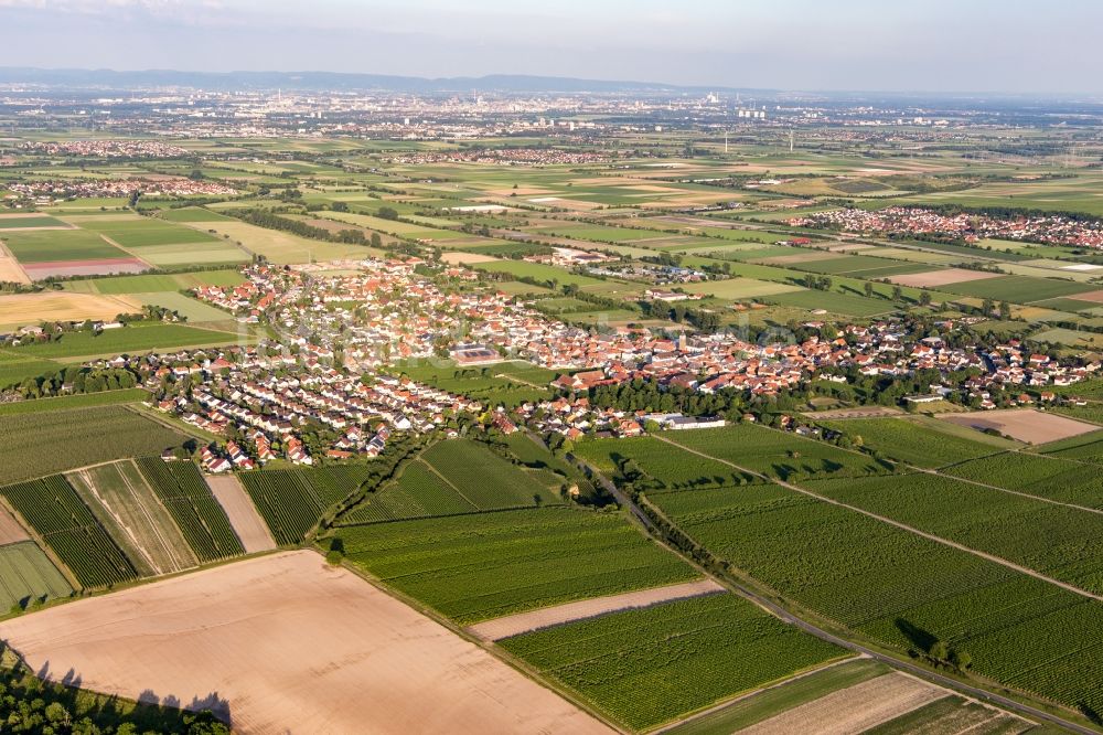 Dirmstein aus der Vogelperspektive: Dorfkern in Dirmstein im Bundesland Rheinland-Pfalz, Deutschland