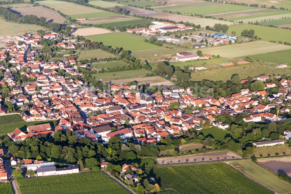 Luftbild Dirmstein - Dorfkern in Dirmstein im Bundesland Rheinland-Pfalz, Deutschland