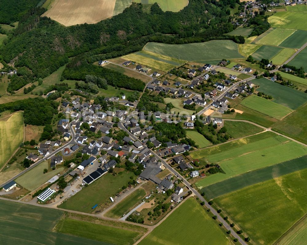 Dünfus von oben - Dorfkern in Dünfus im Bundesland Rheinland-Pfalz