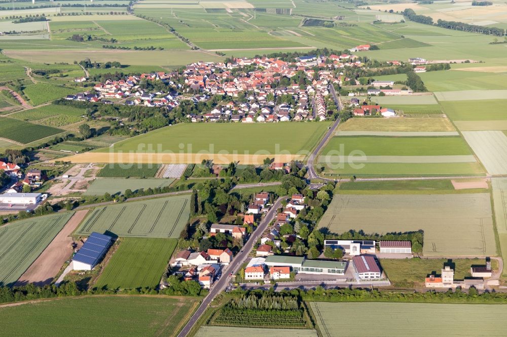 Dorn-Dürkheim von oben - Dorfkern in Dorn-Dürkheim im Bundesland Rheinland-Pfalz, Deutschland