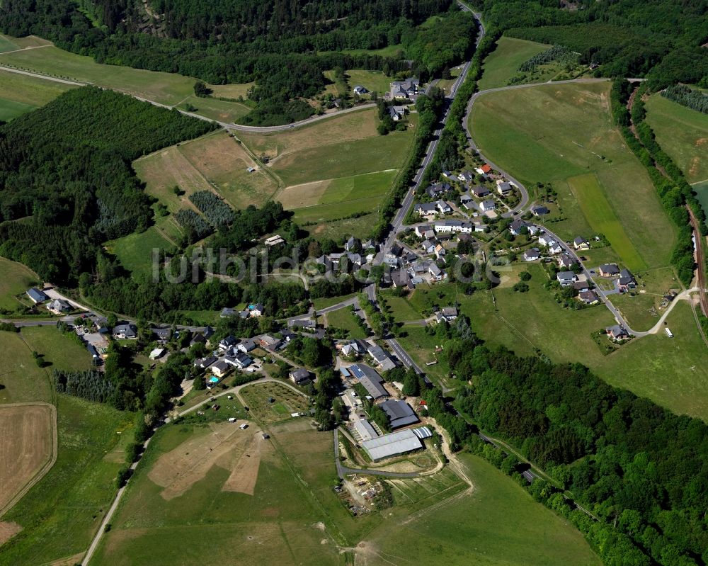 Ehr, Halsenbach aus der Vogelperspektive: Dorfkern in Ehr, Halsenbach im Bundesland Rheinland-Pfalz