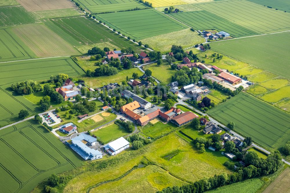 Allen aus der Vogelperspektive: Dorfkern am Feldrand in Allen im Bundesland Nordrhein-Westfalen, Deutschland