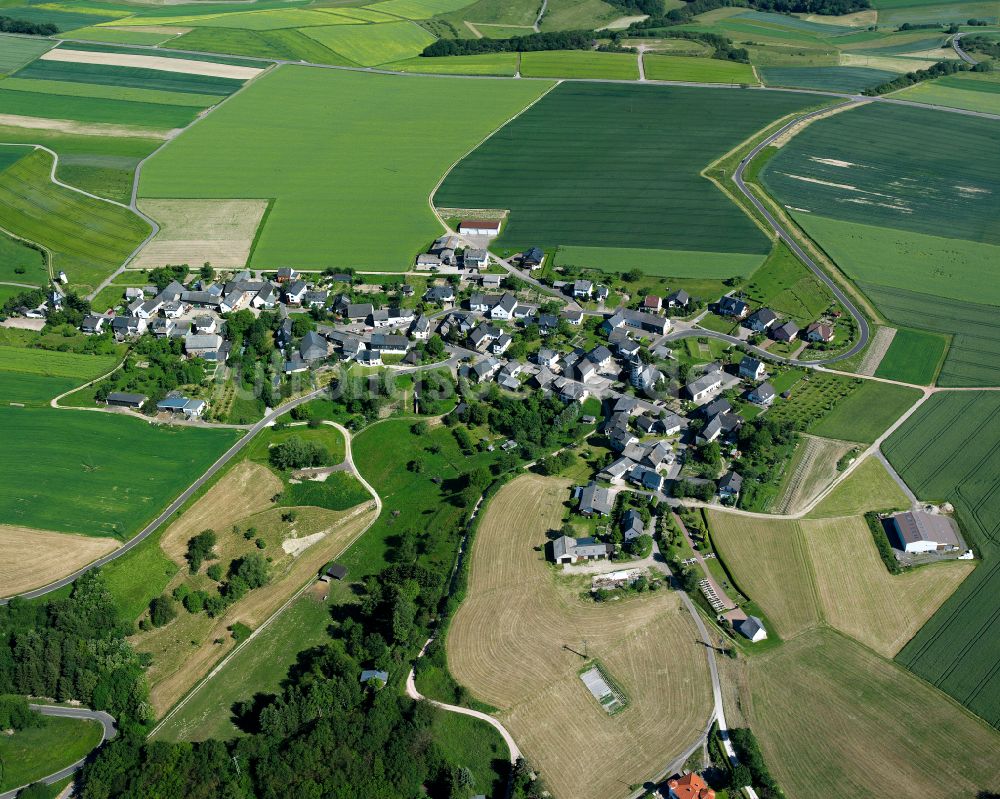 Badenhard von oben - Dorfkern am Feldrand in Badenhard im Bundesland Rheinland-Pfalz, Deutschland