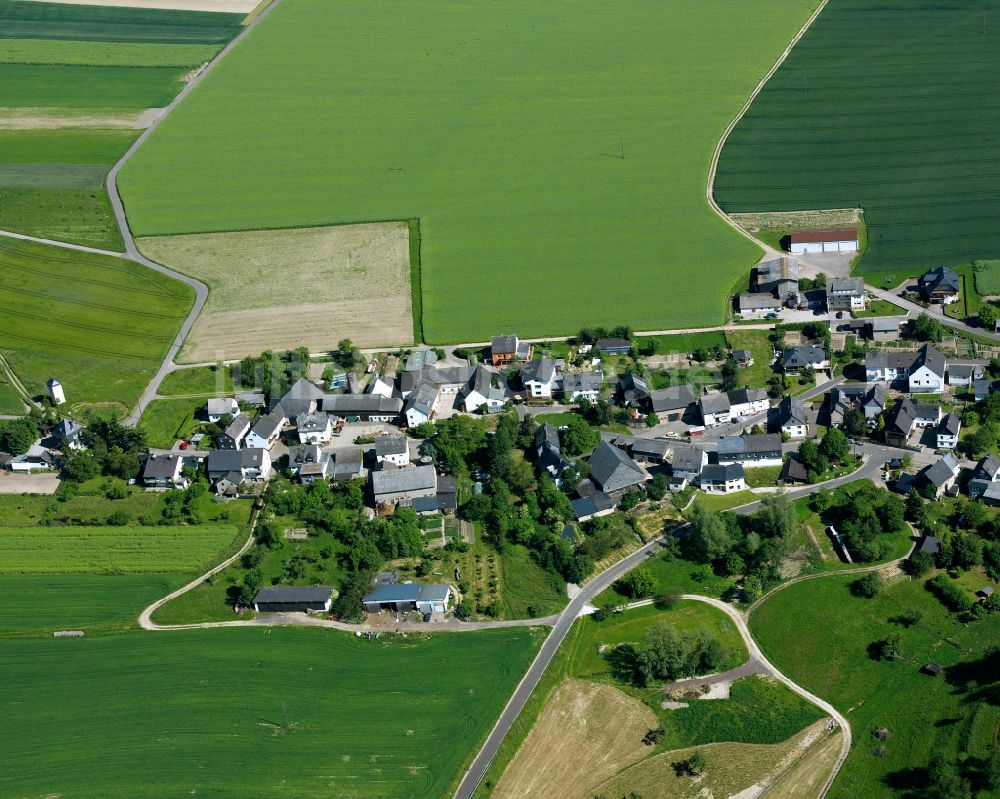 Badenhard aus der Vogelperspektive: Dorfkern am Feldrand in Badenhard im Bundesland Rheinland-Pfalz, Deutschland