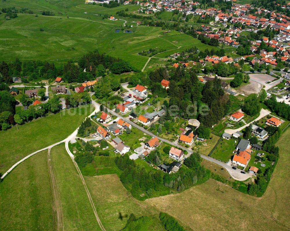 Luftaufnahme Benneckenstein (Harz) - Dorfkern am Feldrand in Benneckenstein (Harz) im Bundesland Sachsen-Anhalt, Deutschland