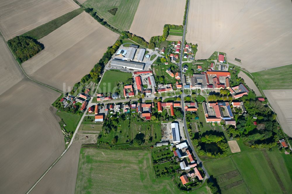 Bergholz von oben - Dorfkern am Feldrand in Bergholz im Bundesland Brandenburg, Deutschland