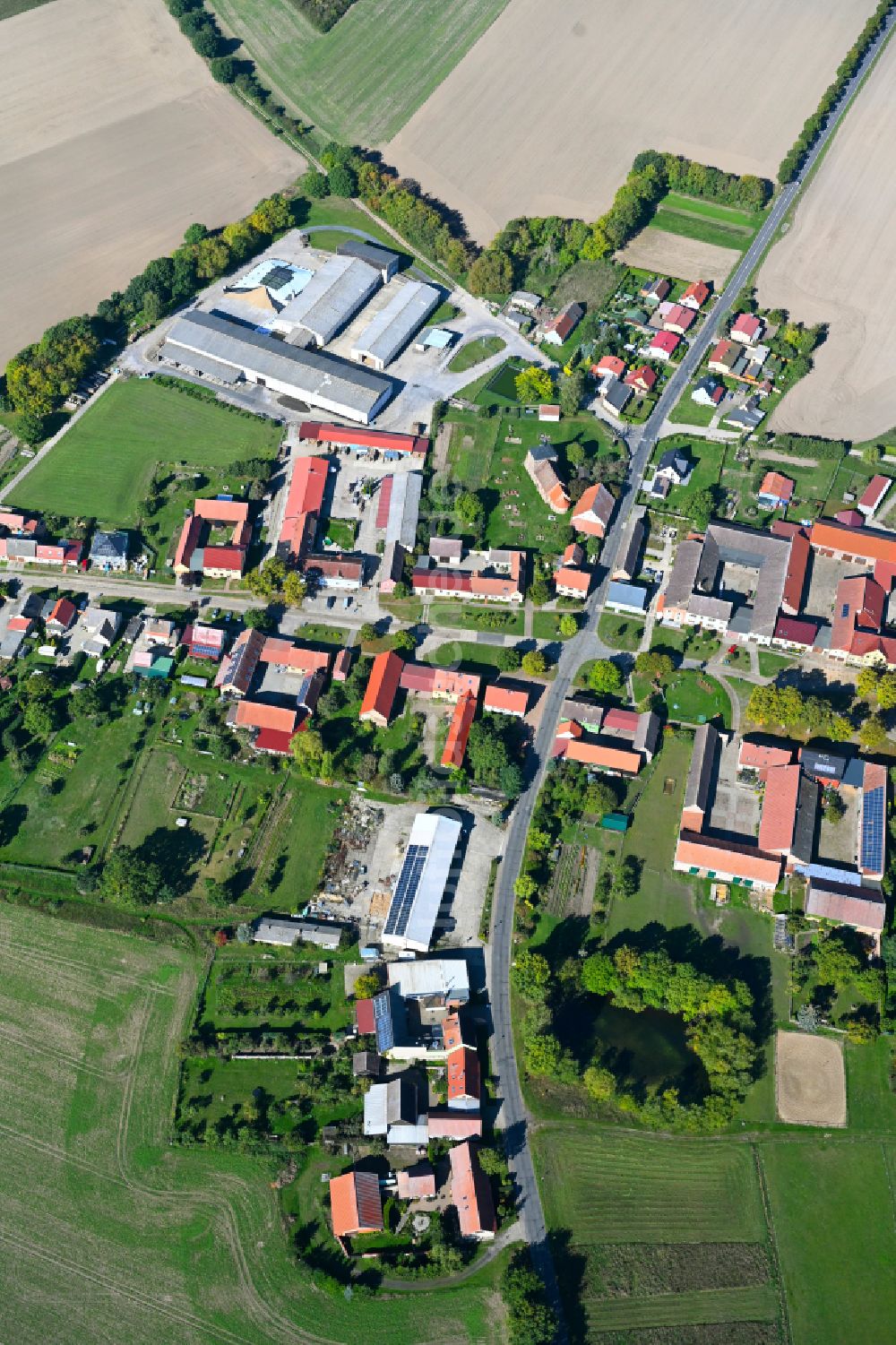 Bergholz aus der Vogelperspektive: Dorfkern am Feldrand in Bergholz im Bundesland Brandenburg, Deutschland