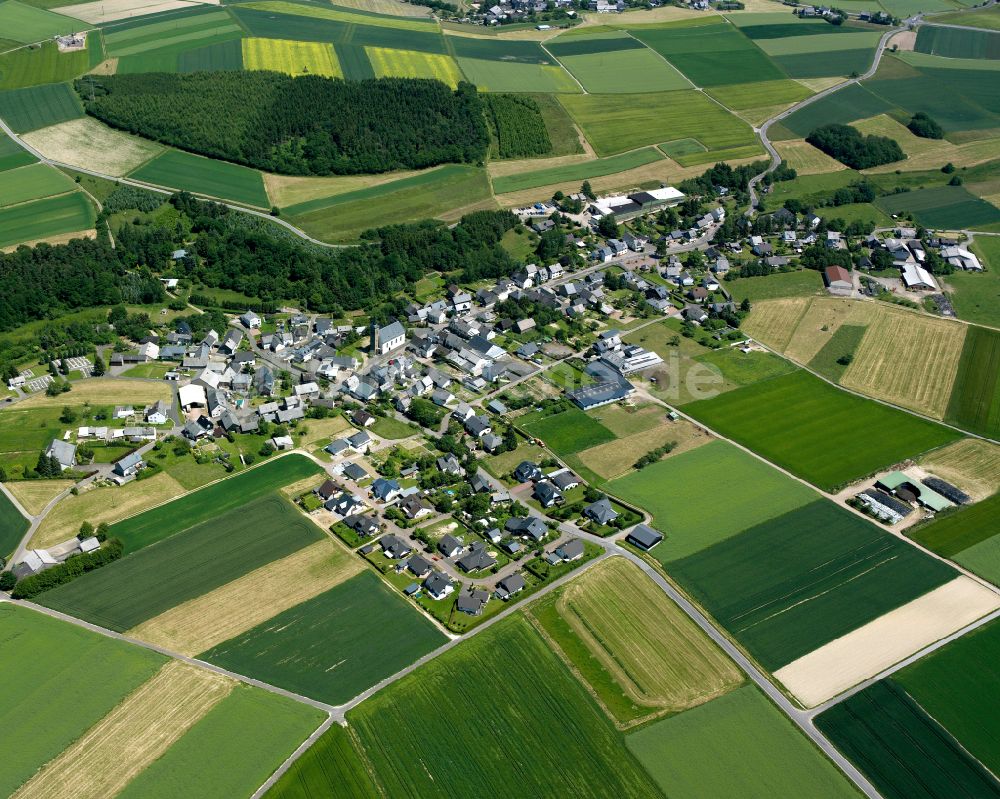 Bickenbach von oben - Dorfkern am Feldrand in Bickenbach im Bundesland Rheinland-Pfalz, Deutschland