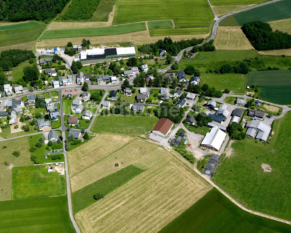 Bickenbach aus der Vogelperspektive: Dorfkern am Feldrand in Bickenbach im Bundesland Rheinland-Pfalz, Deutschland