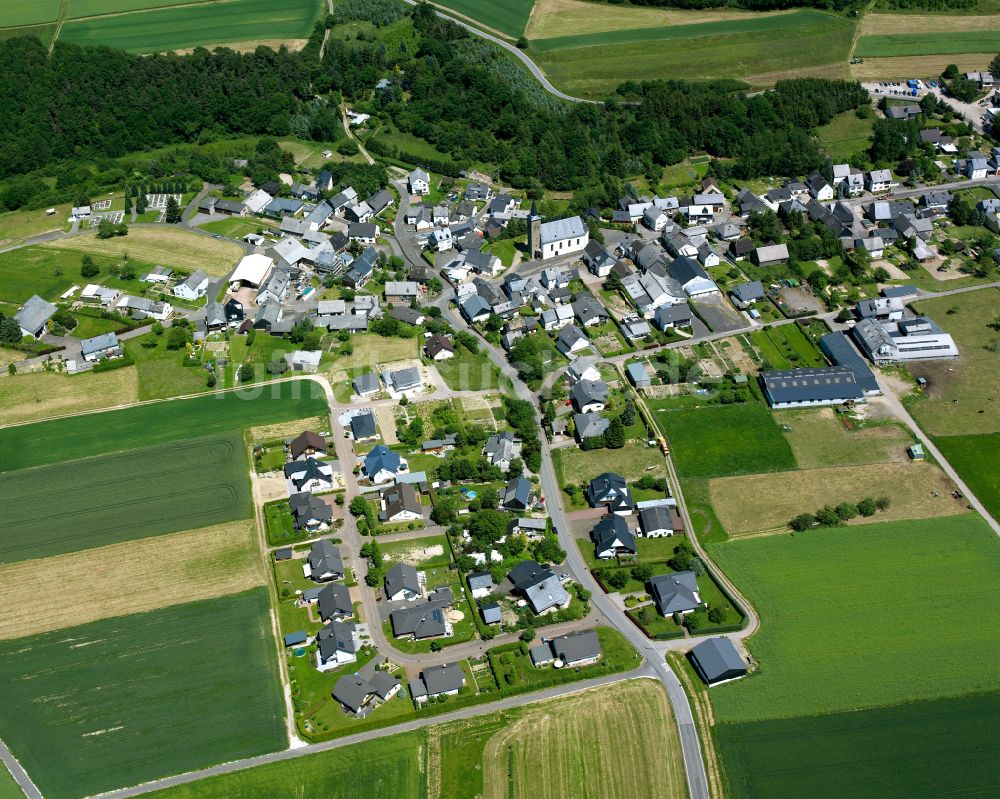 Luftaufnahme Bickenbach - Dorfkern am Feldrand in Bickenbach im Bundesland Rheinland-Pfalz, Deutschland