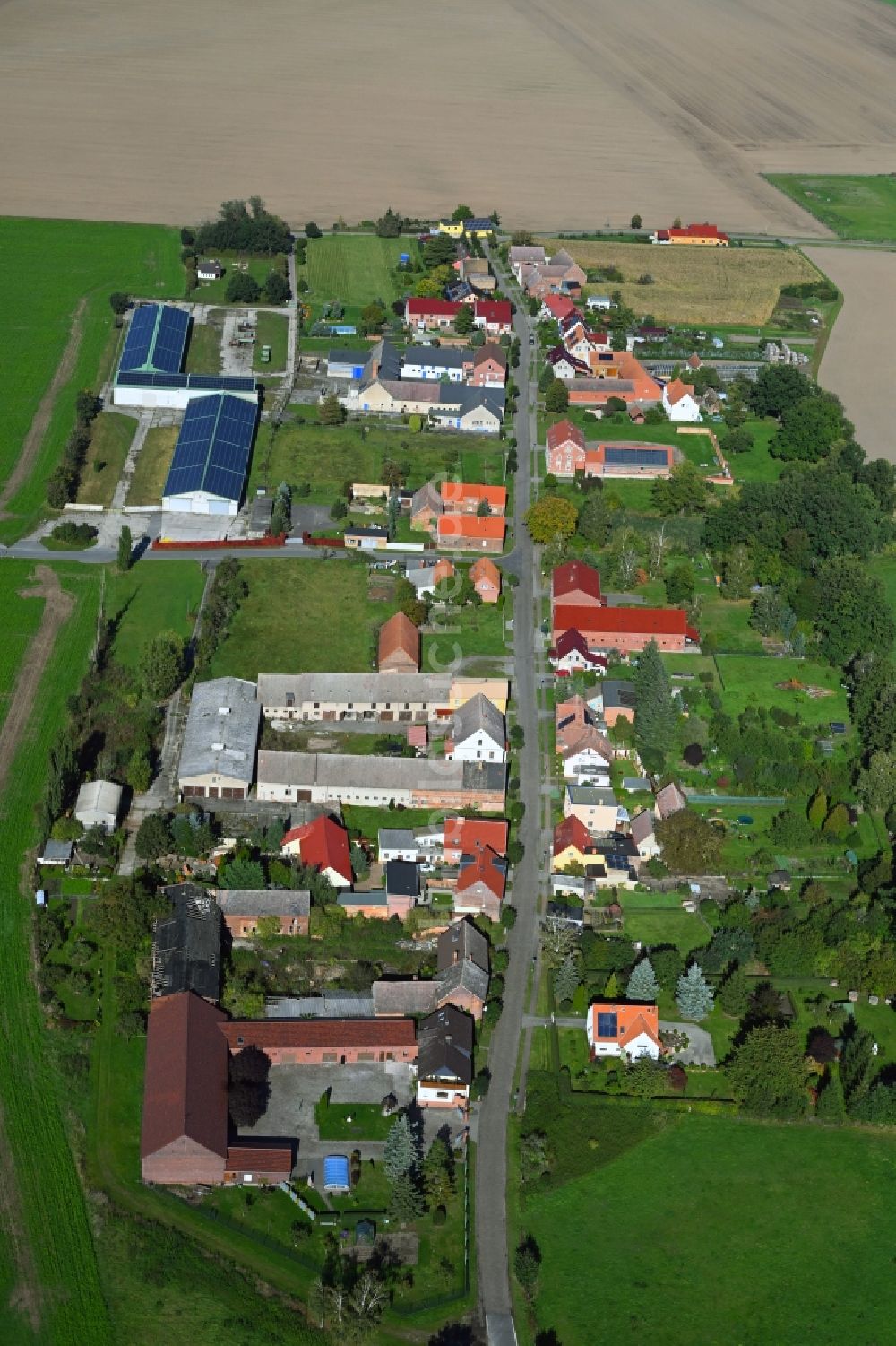 Luftbild Bietegast - Dorfkern am Feldrand in Bietegast im Bundesland Sachsen-Anhalt, Deutschland