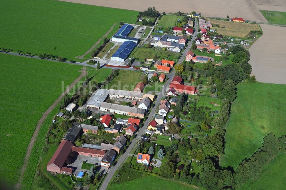 Luftaufnahme Bietegast - Dorfkern am Feldrand in Bietegast im Bundesland Sachsen-Anhalt, Deutschland