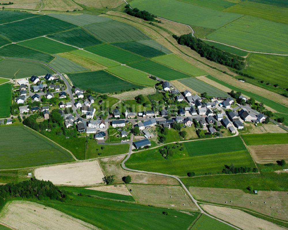 Luftbild Birkheim - Dorfkern am Feldrand in Birkheim im Bundesland Rheinland-Pfalz, Deutschland