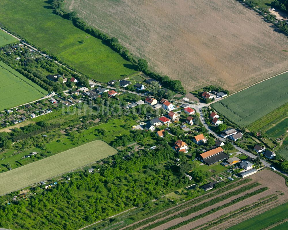 Blankenburg (Harz) von oben - Dorfkern am Feldrand in Blankenburg (Harz) im Bundesland Sachsen-Anhalt, Deutschland