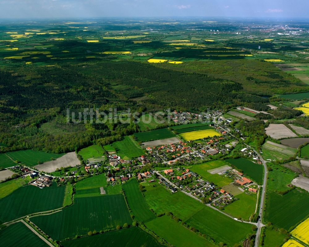 Bliestorf aus der Vogelperspektive: Dorfkern am Feldrand in Bliestorf im Bundesland Schleswig-Holstein, Deutschland