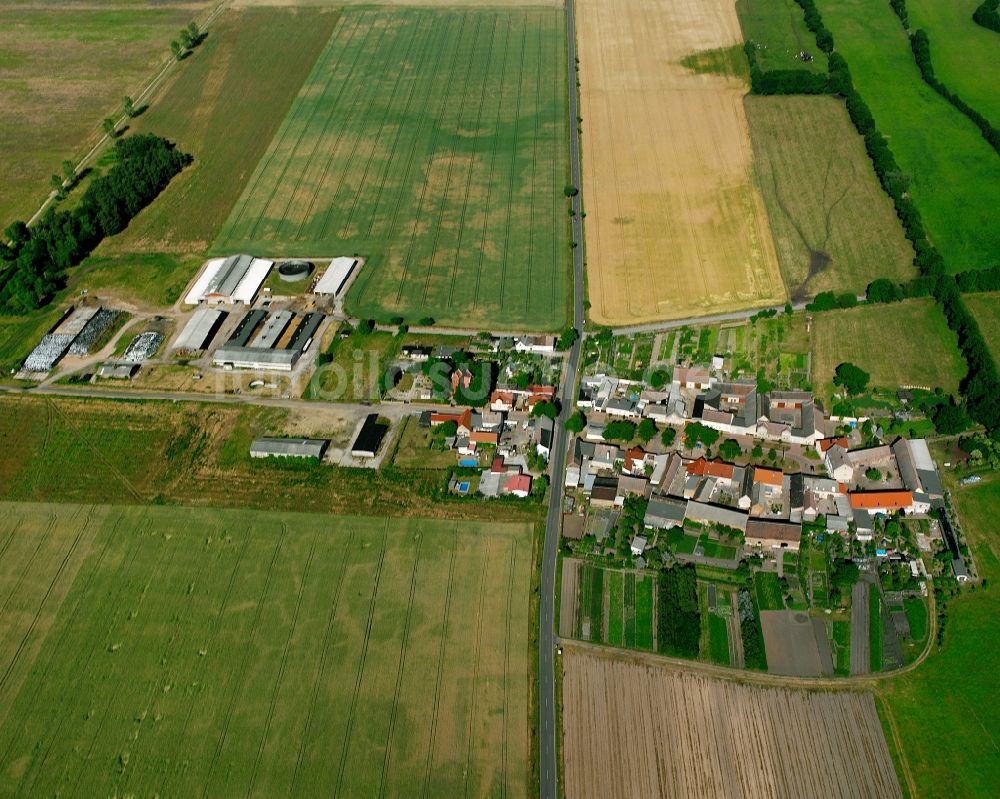 Luftaufnahme Bonitz - Dorfkern am Feldrand in Bonitz im Bundesland Sachsen-Anhalt, Deutschland