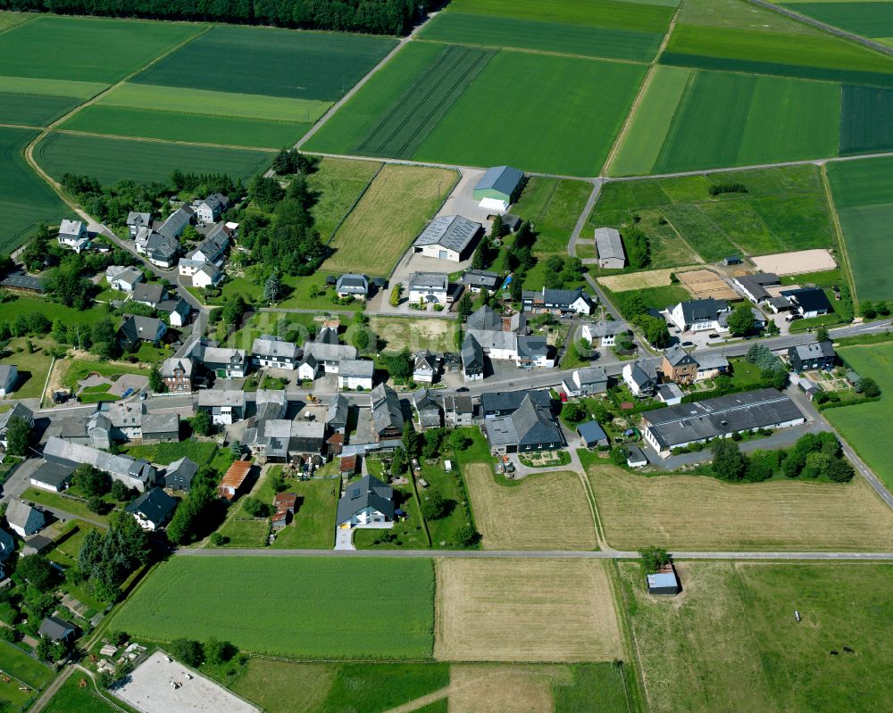 Luftbild Braunshorn - Dorfkern am Feldrand in Braunshorn im Bundesland Rheinland-Pfalz, Deutschland