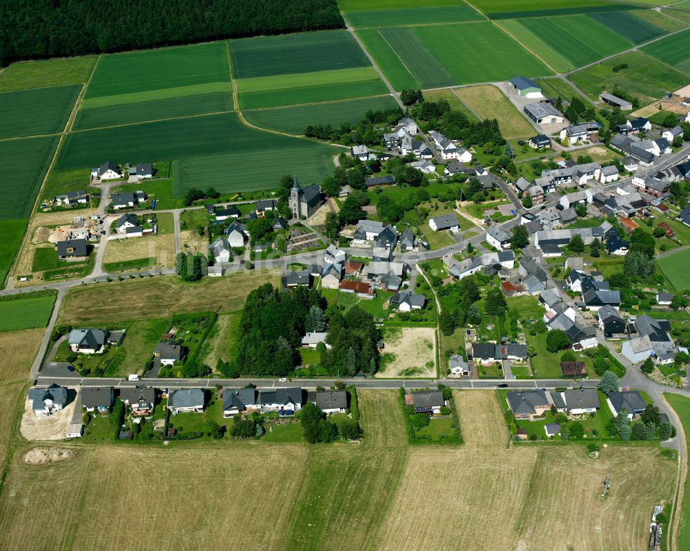 Luftaufnahme Braunshorn - Dorfkern am Feldrand in Braunshorn im Bundesland Rheinland-Pfalz, Deutschland