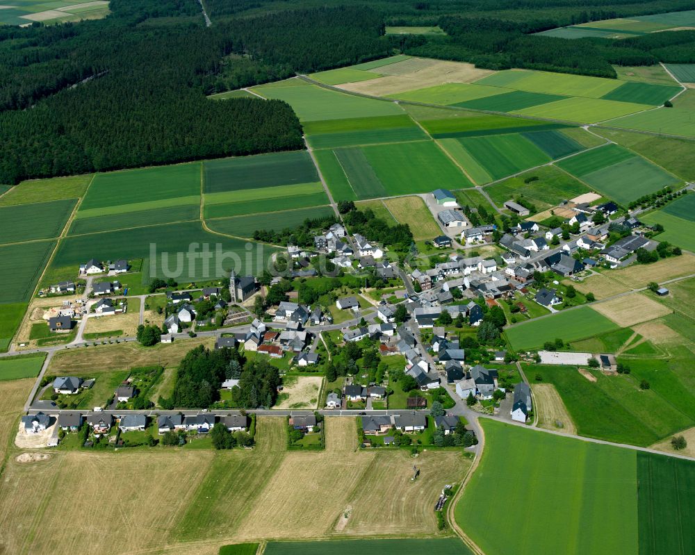 Luftbild Braunshorn - Dorfkern am Feldrand in Braunshorn im Bundesland Rheinland-Pfalz, Deutschland