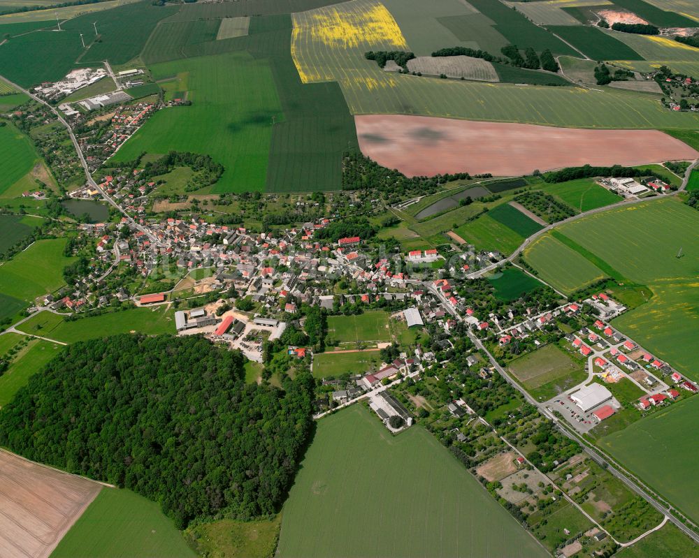 Bröckau aus der Vogelperspektive: Dorfkern am Feldrand in Bröckau im Bundesland Thüringen, Deutschland