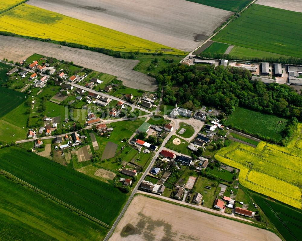 Luftbild Brietzke - Dorfkern am Feldrand in Brietzke im Bundesland Sachsen-Anhalt, Deutschland