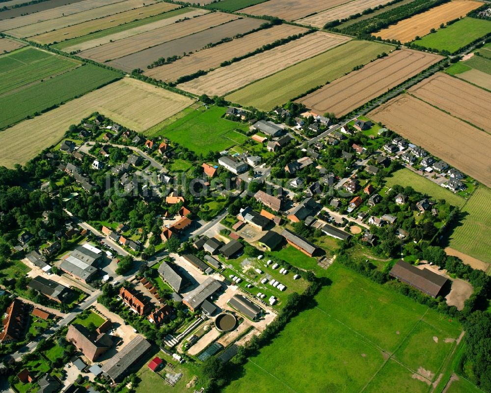 Luftaufnahme Börnsen - Dorfkern am Feldrand in Börnsen im Bundesland Schleswig-Holstein, Deutschland