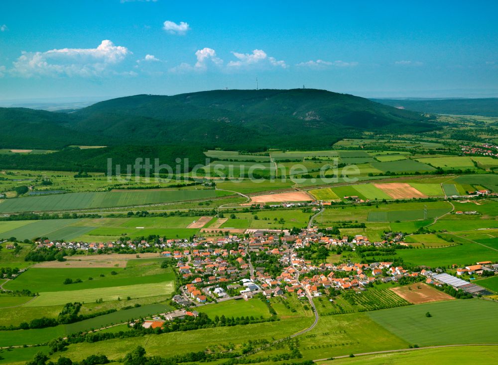 Börrstadt von oben - Dorfkern am Feldrand in Börrstadt im Bundesland Rheinland-Pfalz, Deutschland