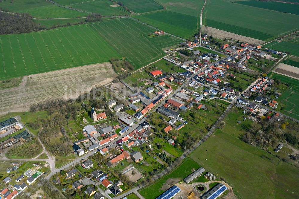 Büste von oben - Dorfkern am Feldrand in Büste im Bundesland Sachsen-Anhalt, Deutschland