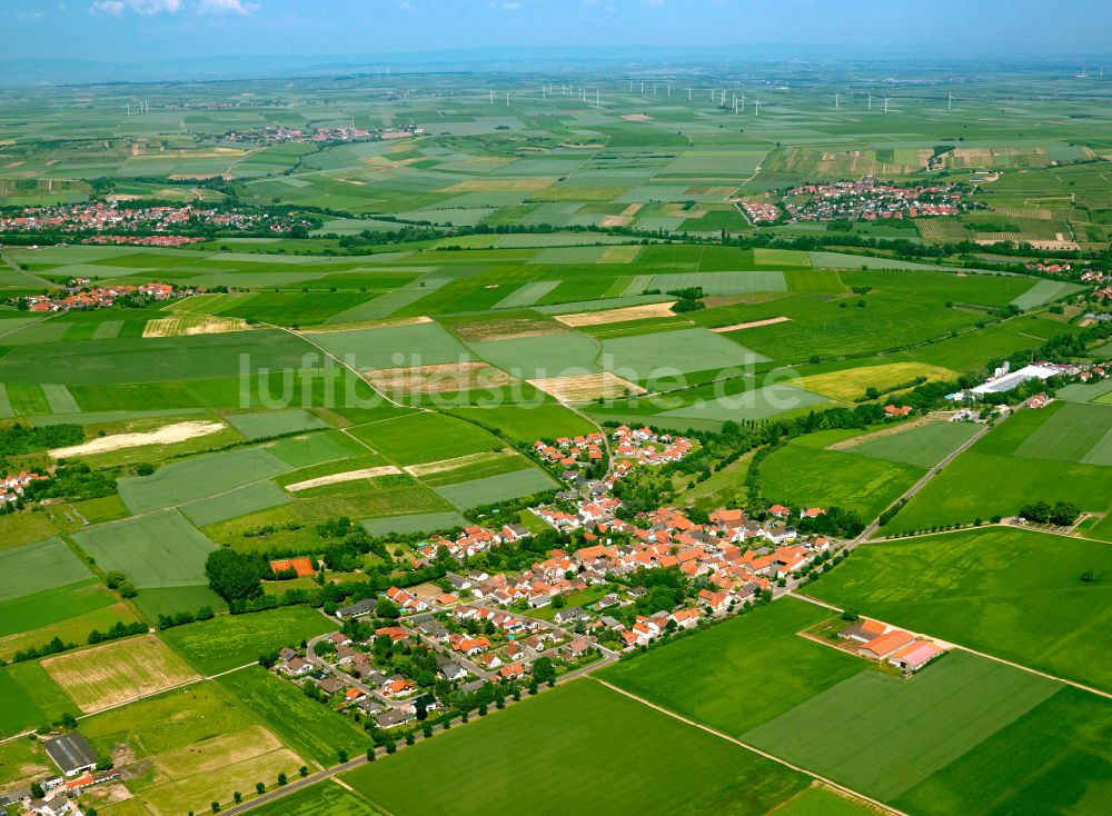 Luftbild Bubenheim - Dorfkern am Feldrand in Bubenheim im Bundesland Rheinland-Pfalz, Deutschland