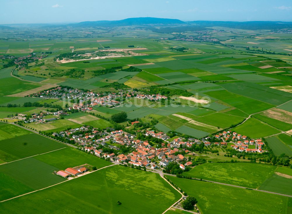 Luftaufnahme Bubenheim - Dorfkern am Feldrand in Bubenheim im Bundesland Rheinland-Pfalz, Deutschland