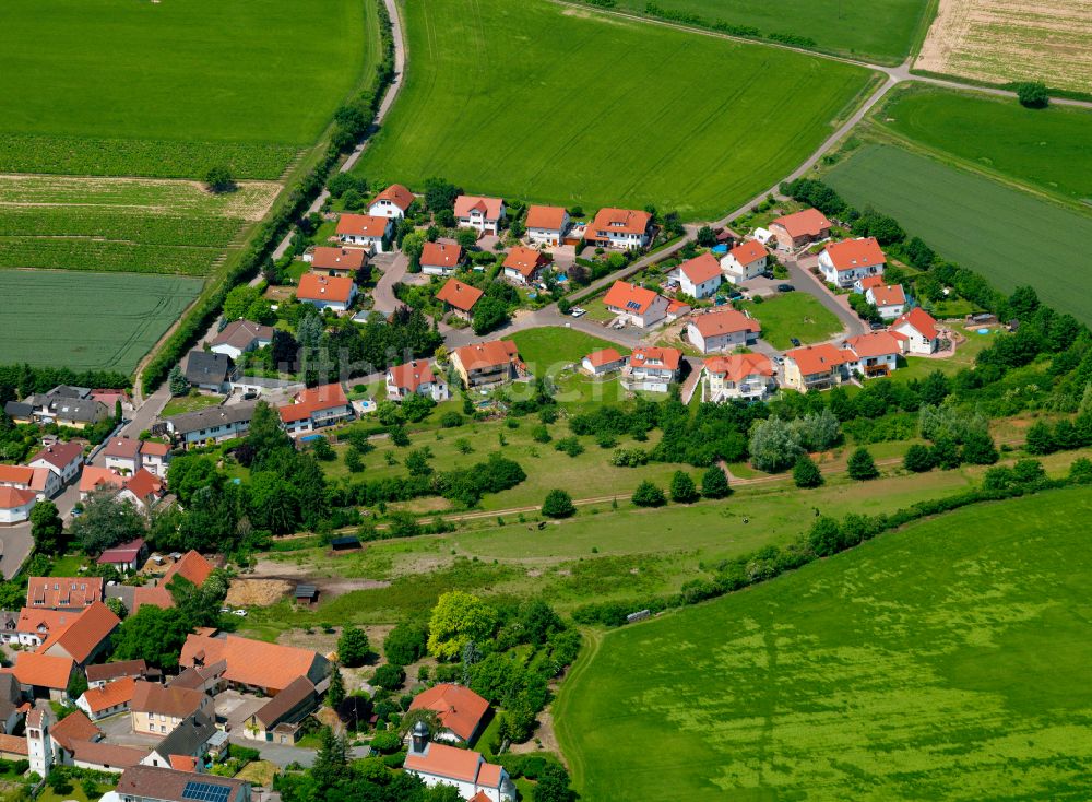 Bubenheim aus der Vogelperspektive: Dorfkern am Feldrand in Bubenheim im Bundesland Rheinland-Pfalz, Deutschland