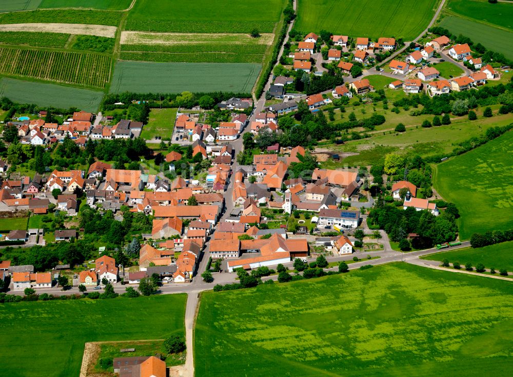 Luftbild Bubenheim - Dorfkern am Feldrand in Bubenheim im Bundesland Rheinland-Pfalz, Deutschland