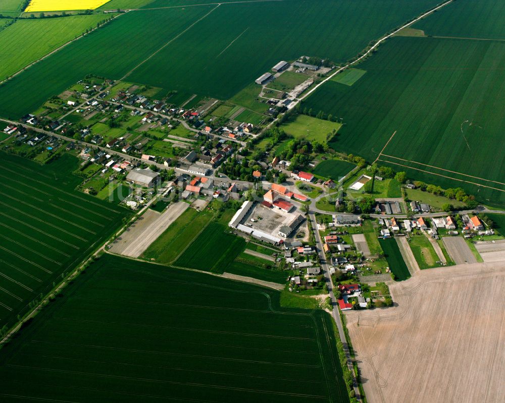 Buhlendorf von oben - Dorfkern am Feldrand in Buhlendorf im Bundesland Sachsen-Anhalt, Deutschland