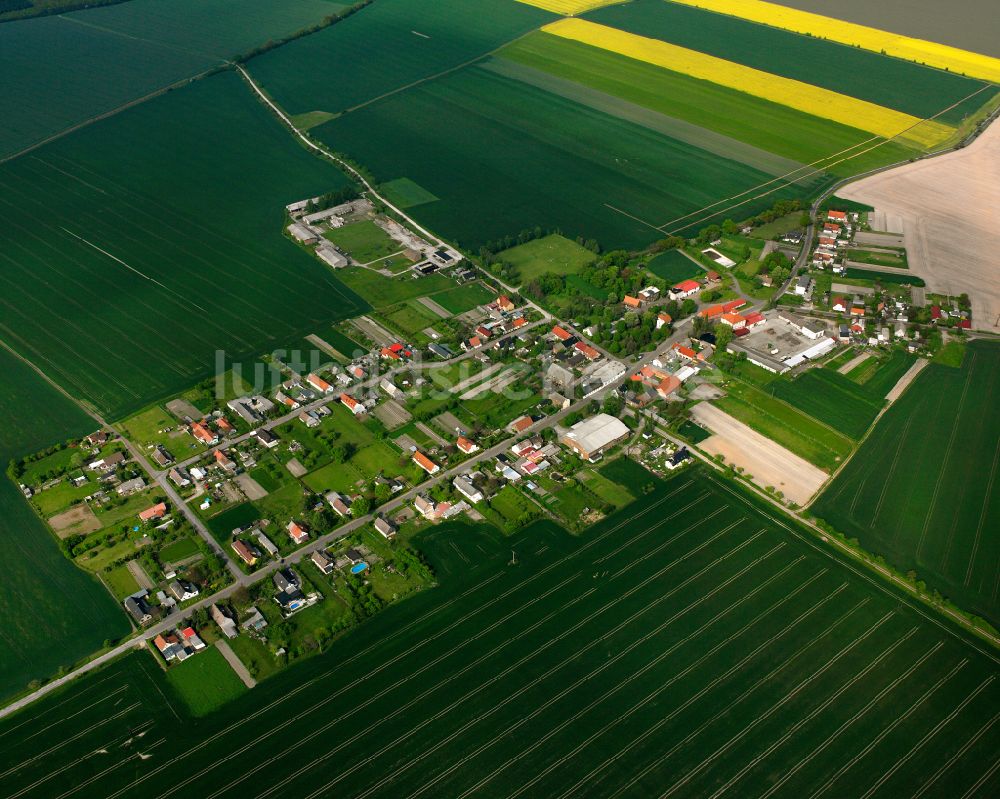 Buhlendorf aus der Vogelperspektive: Dorfkern am Feldrand in Buhlendorf im Bundesland Sachsen-Anhalt, Deutschland