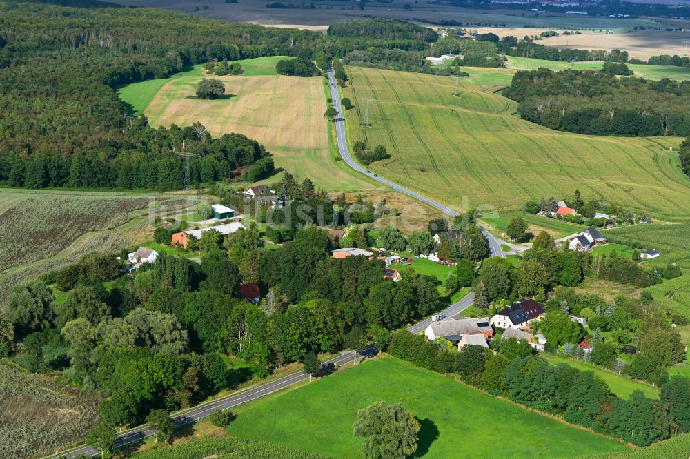 Carlslust von oben - Dorfkern am Feldrand in Carlslust im Bundesland Mecklenburg-Vorpommern, Deutschland