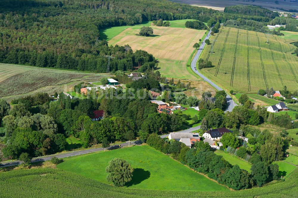 Carlslust aus der Vogelperspektive: Dorfkern am Feldrand in Carlslust im Bundesland Mecklenburg-Vorpommern, Deutschland