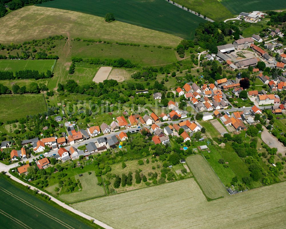 Cattenstedt aus der Vogelperspektive: Dorfkern am Feldrand in Cattenstedt im Bundesland Sachsen-Anhalt, Deutschland