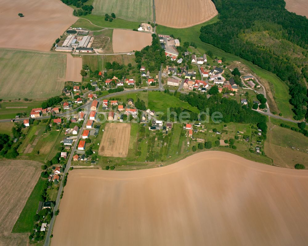 Cretzschwitz von oben - Dorfkern am Feldrand in Cretzschwitz im Bundesland Thüringen, Deutschland